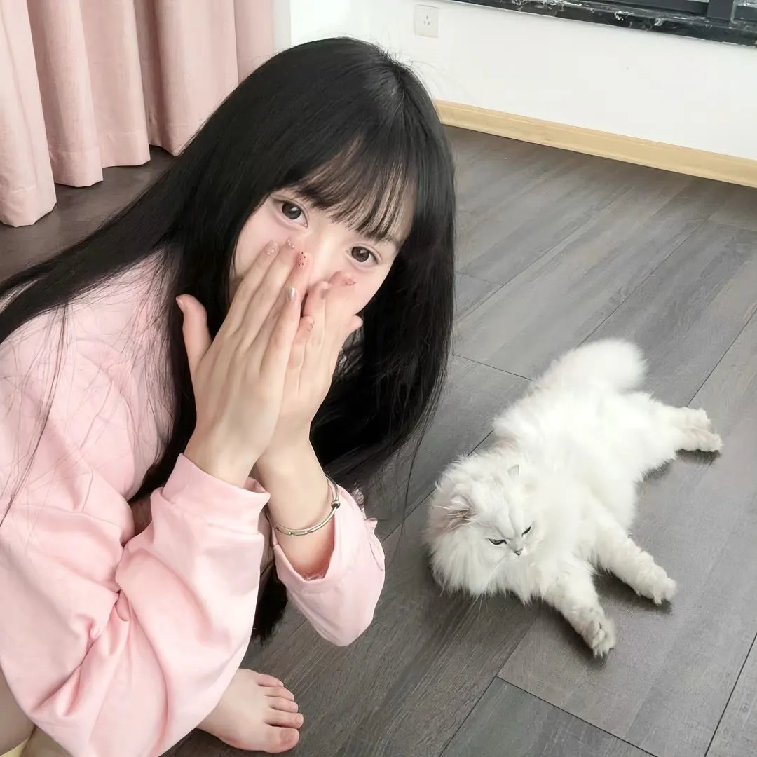 美丽失败者